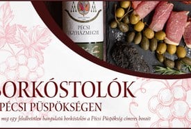 Egyéni borkóstolók a Pécsi Püspökségen