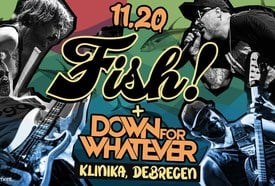 Fish! – Összjubileumi Turné, vendég: Down For Whatever