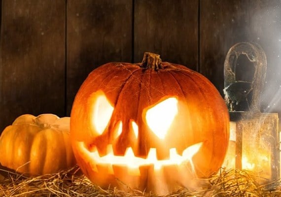 HALLOWINE 2026 - Halloween a Petrény Borbankban