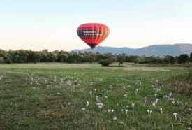 Hőlégballonos sétarepülés a Balatonnál – 5. kép