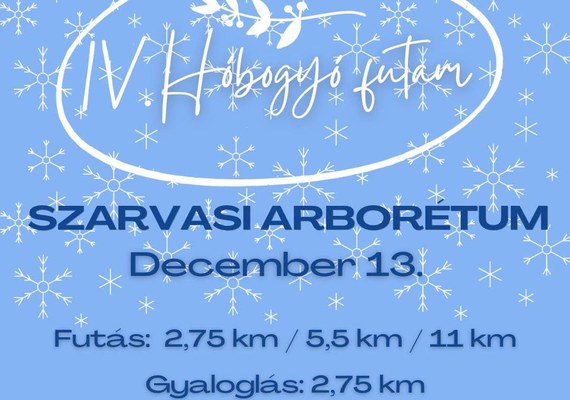 IV. Hóbogyó futam – Bolza-kör futóverseny