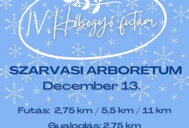 IV. Hóbogyó futam – Bolza-kör futóverseny