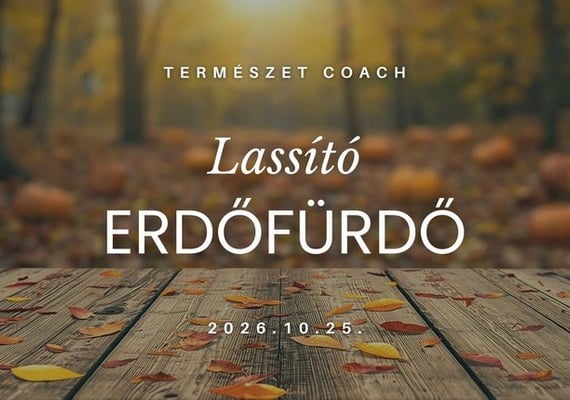 Lassító Erdőfürdő a Mecsekben