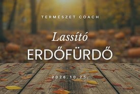 Lassító Erdőfürdő a Mecsekben