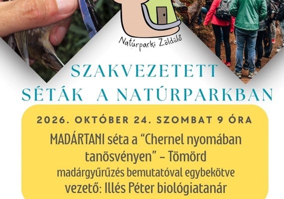 Madártani séta Tömördön a Chernel nyomában tanösvényen, madárgyűrűzéssel