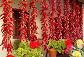 „Mert paprika nélkül nem bír el lenni a világ…” – paprikatermesztés hagyományai Szeged-Alsóvároson kultúrséta