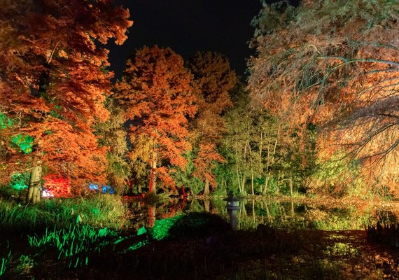 Momiji – gyönyörködés az őszi lombszíneződésben