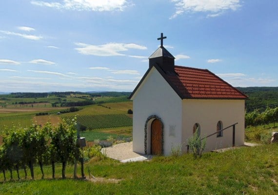 "Nyék felé" túra
