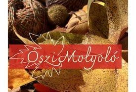 Őszi molyoló – alkotónapok a Közelben