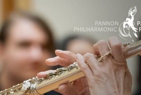 Pannon Filharmonikusok: Művészbejáró I.