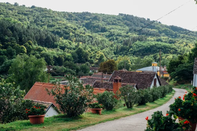 Pincejáró túra Villánykövesden – 4. kép