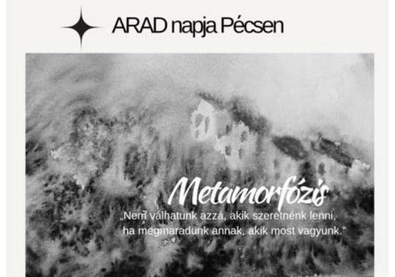 Szabó Ileana Metamorfózis – kiállítás