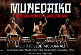 Taiko Drummers