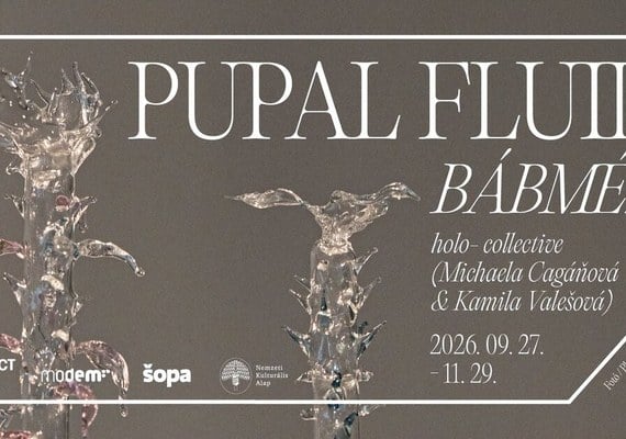 Temporary exhibition / Időszaki kiállítás: holo-: Pupal Fluid // Bábméz (2026.09.27. - 2026.11.29.)
