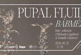 Temporary exhibition / Időszaki kiállítás: holo-: Pupal Fluid // Bábméz (2026.09.27. - 2026.11.29.)