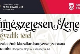 "Természetesen Zene!" hangversenysorozat