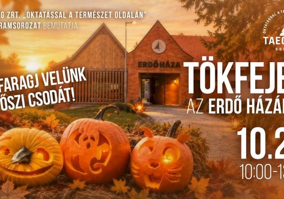 TökFejek az Erdő Házában – tökfaragás és őszi családi nap