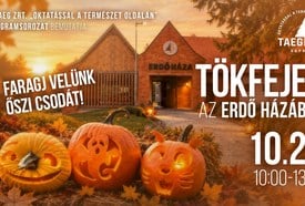 TökFejek az Erdő Házában – tökfaragás és őszi családi nap