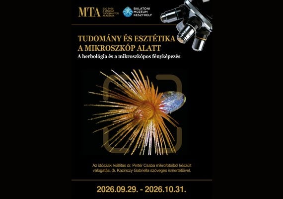 Tudomány és esztétika a mikroszkóp alatt – A herbológia és a mikroszkópos fényképezés