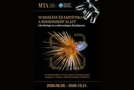 Tudomány és esztétika a mikroszkóp alatt – A herbológia és a mikroszkópos fényképezés