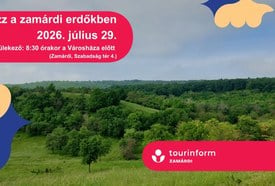 Túrázz a zamárdi erdőkben