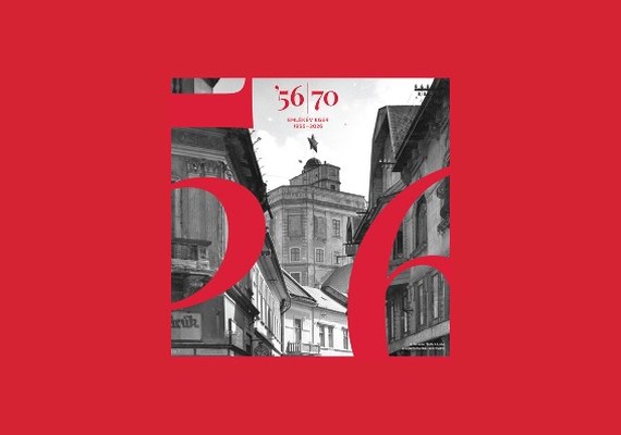 Városi díszünnepség az 1956-os forradalom emlékére