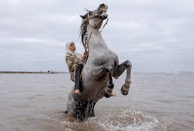 World Press Photo 2026