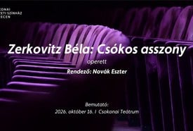 Zerkovitz Béla: Csókos asszony