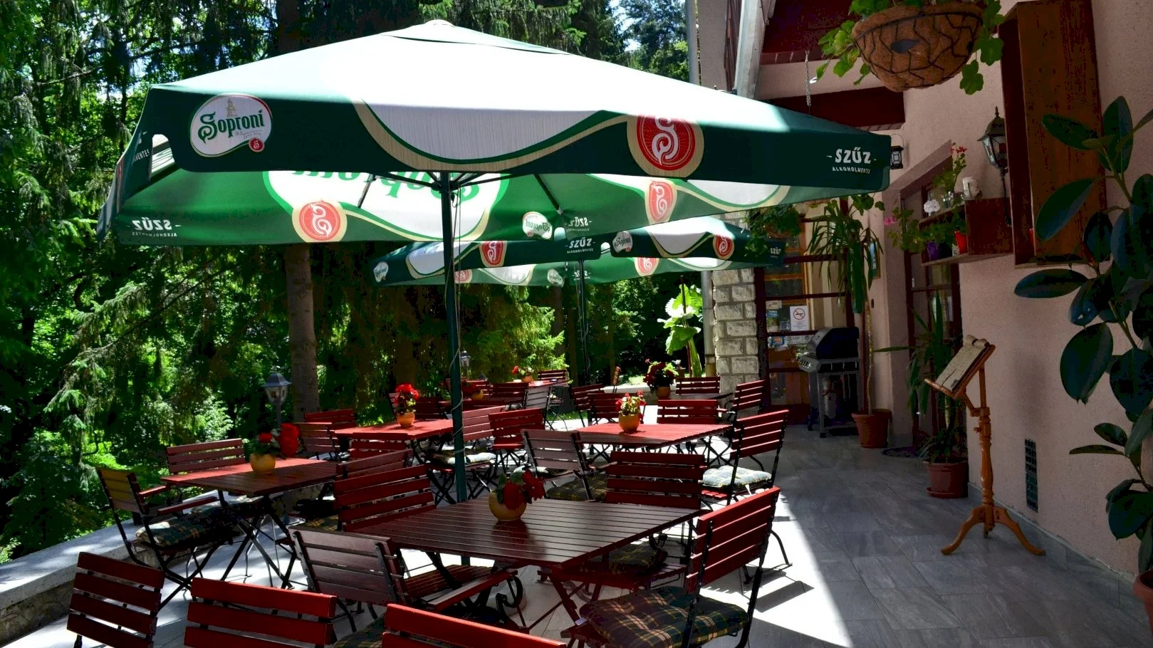 Ezüstfenyő Hotel – 20. kép