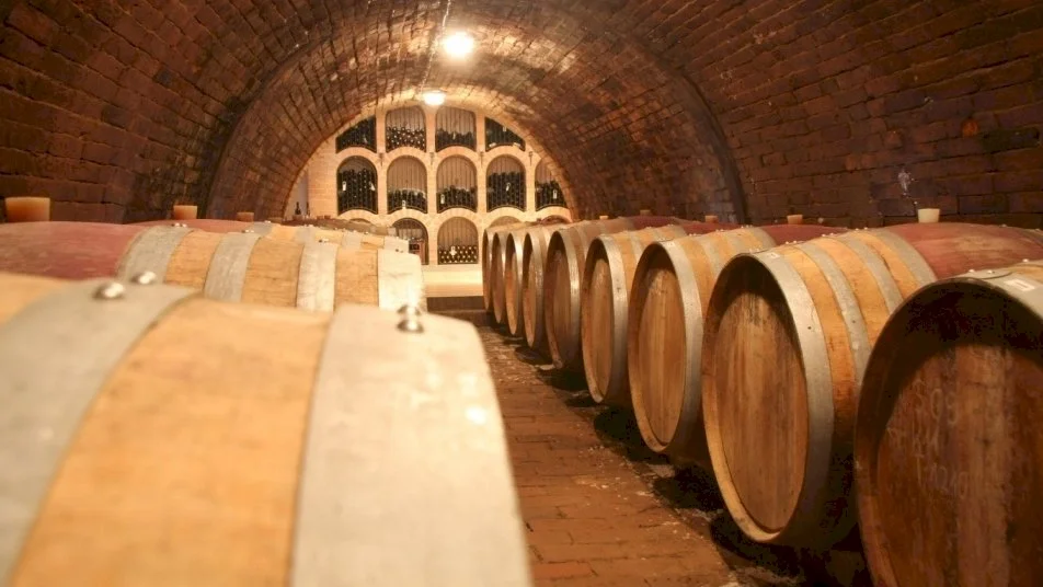 Diófa Panzió – 7. kép