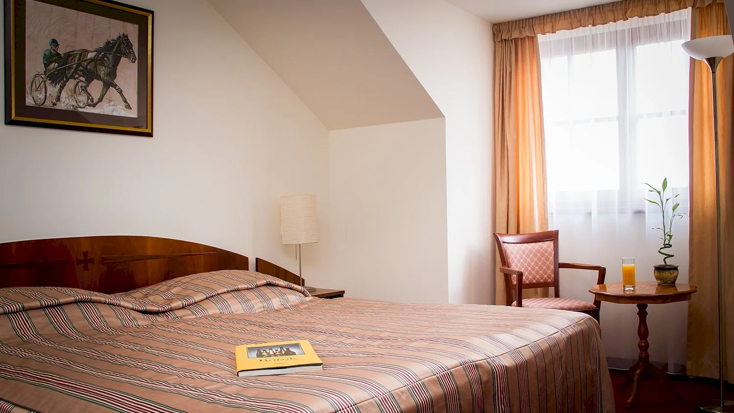 Bodrogi Kúria Wellness Hotel – 15. kép