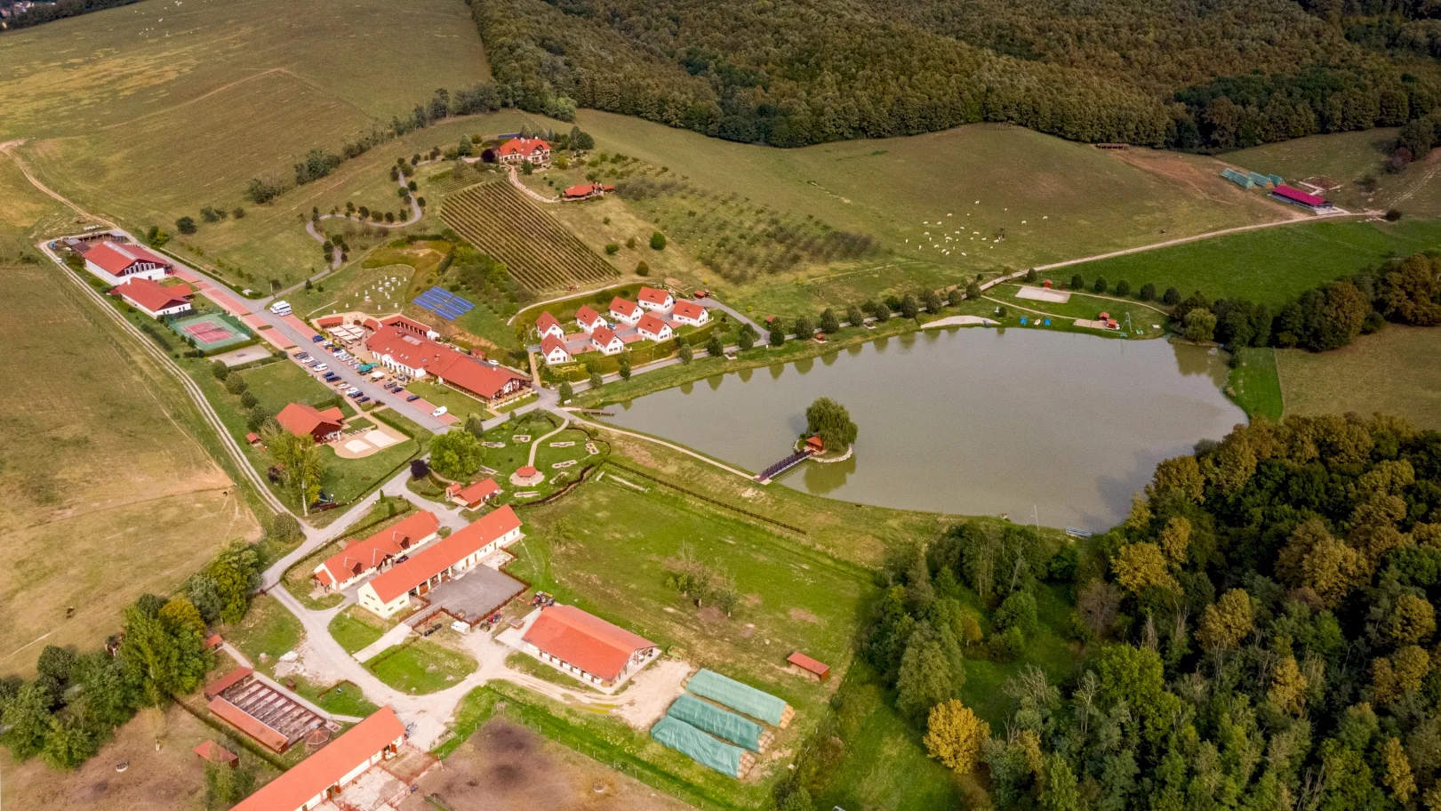 Zselicvölgy Szabadidőfarm – 8. kép