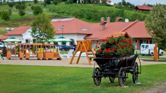 Zselicvölgy Szabadidőfarm – 4. kép
