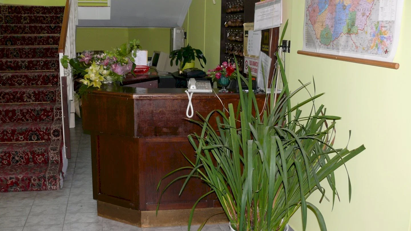 Hotel Orchidea – 8. kép