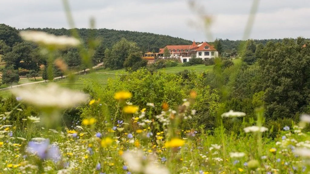 Rácz Tanya Orfű-Lipóc – 39. kép