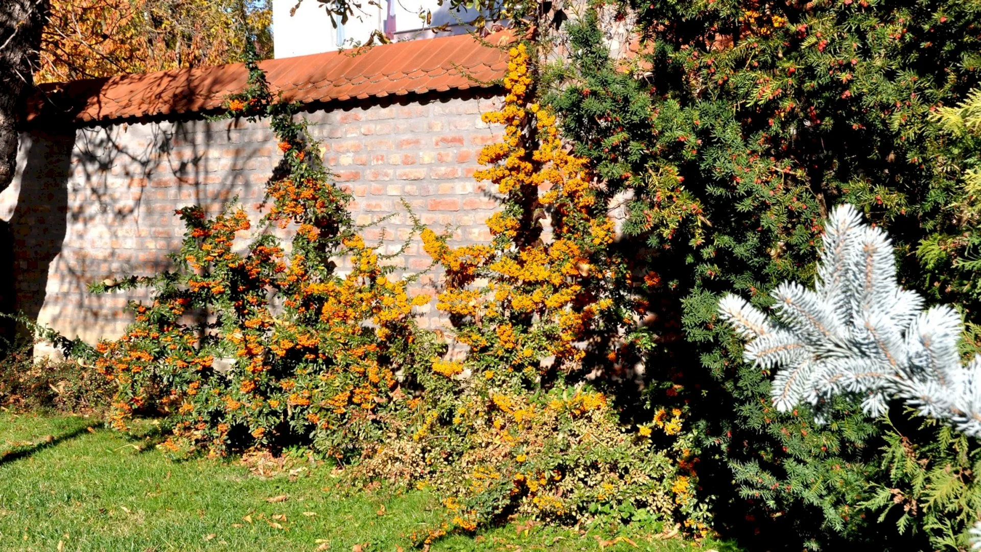 Ametiszt Hotel Harkány – 17. kép