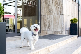 Bonvital Wellness & Gastro Hotel – 5. kép