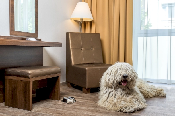 Bonvital Wellness & Gastro Hotel – 6. kép