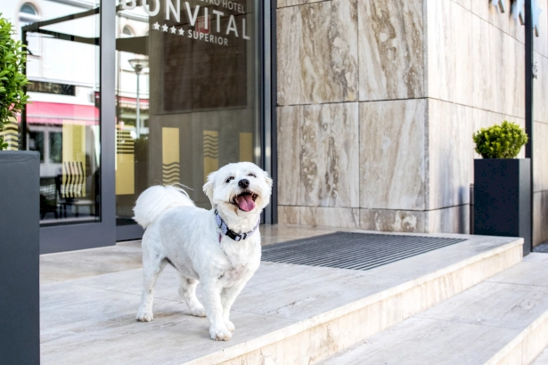 Bonvital Wellness & Gastro Hotel – 5. kép