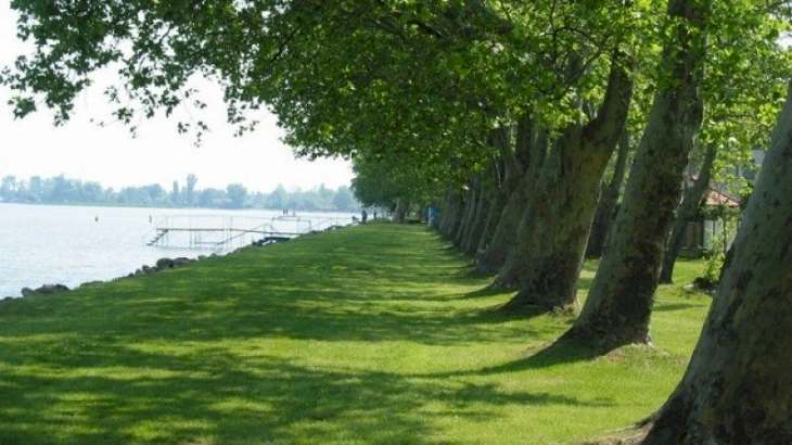 2-3 fős strandközeli apartman – 2. kép