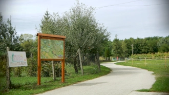 Békesség Szigete Apartman  – 4. kép