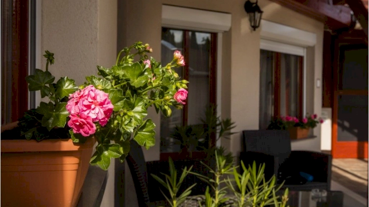 Piazza apartman – 16. kép