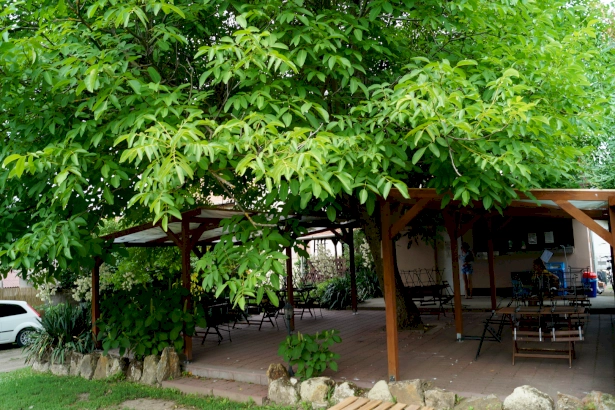 Sátorhely – 4. kép