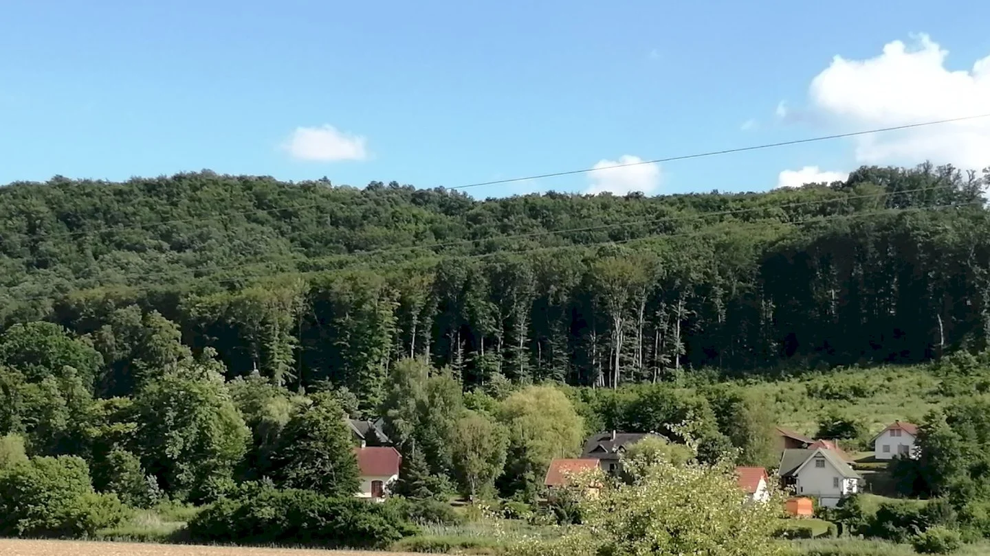 Zöld Orom Vendégház – 18. kép
