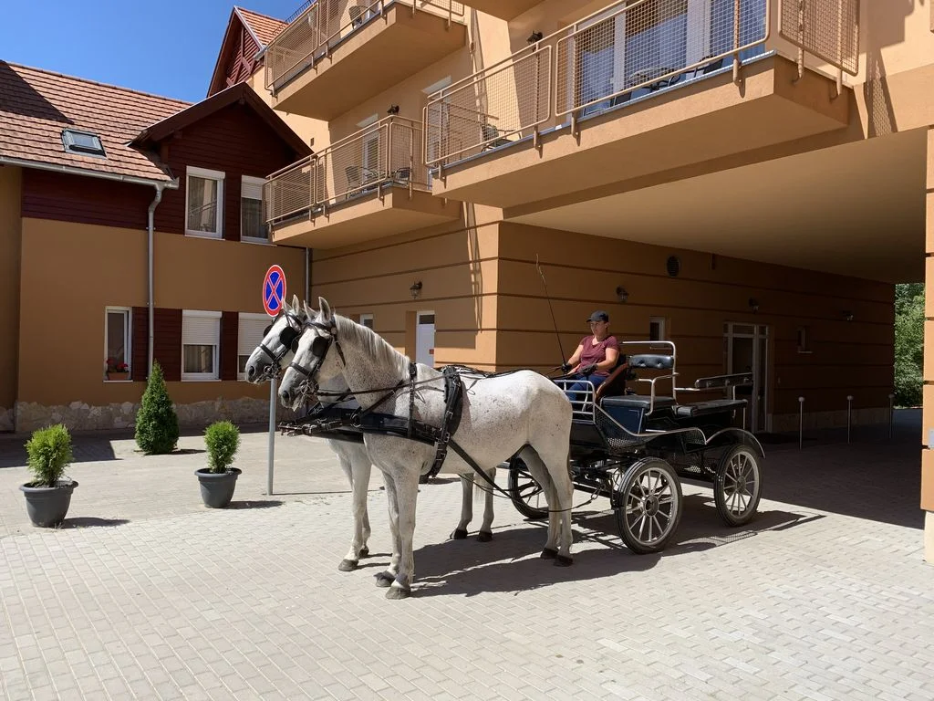 Termál Hotel Vesta – 9. kép