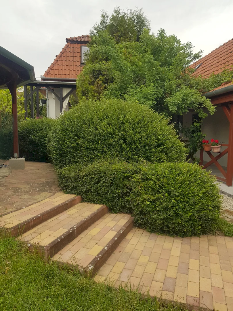 Kétpáva Vendégház – 6. kép