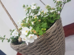 Kétpáva Vendégház – 5. kép