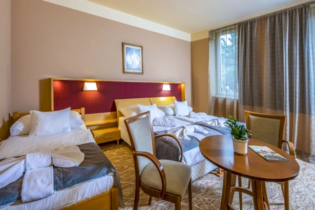 Dráva Hotel Thermal Resort – 9. kép
