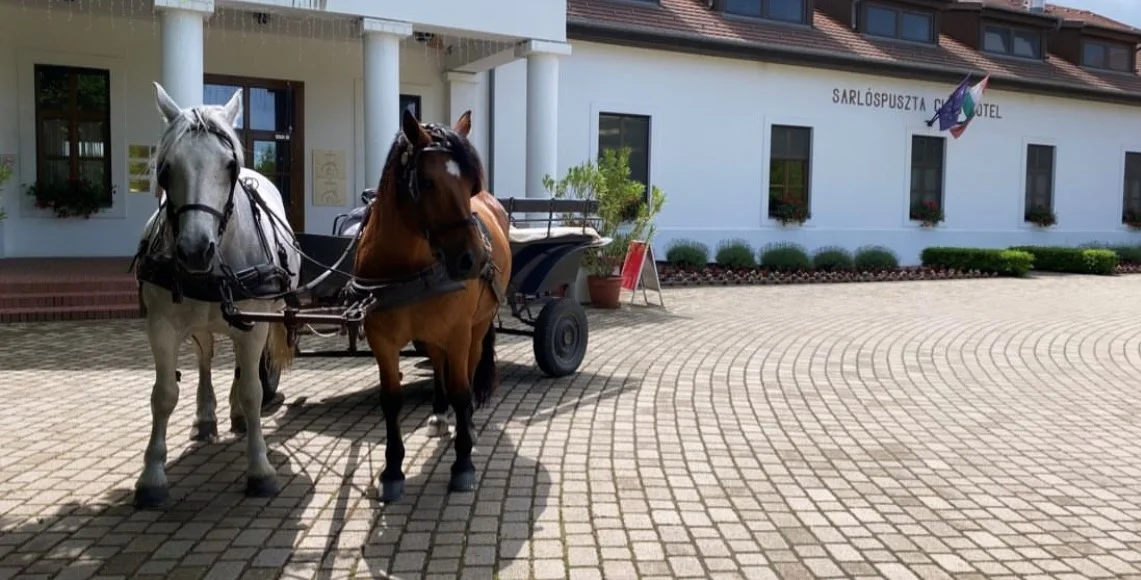 Sarlóspuszta Club Hotel – 2. kép