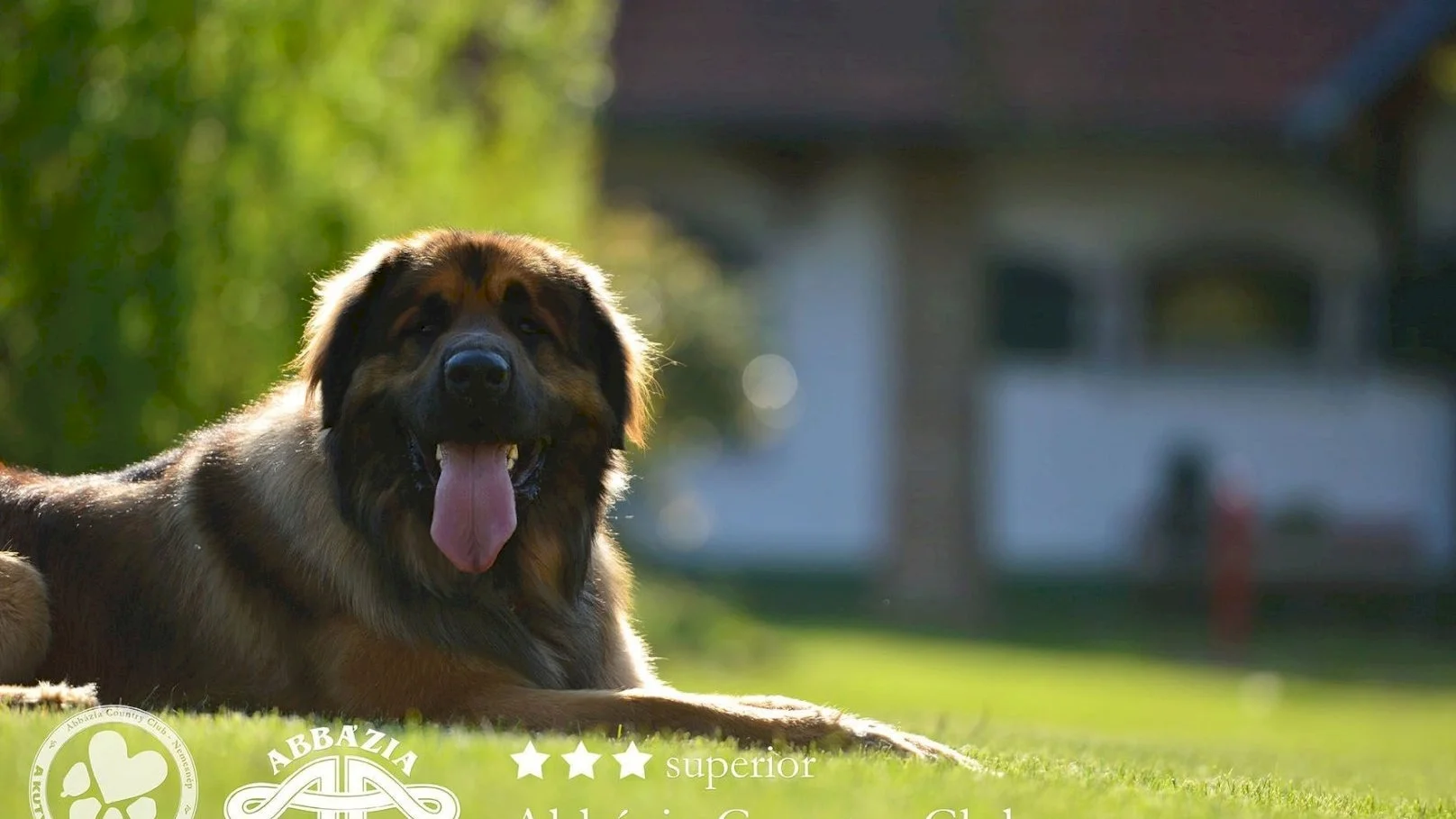 Abbázia Country Club – 24. kép